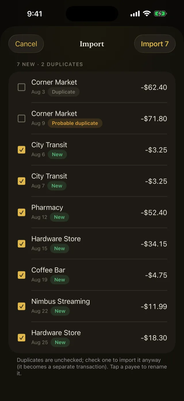 The import preview, with incoming rows and duplicates flagged before they land.